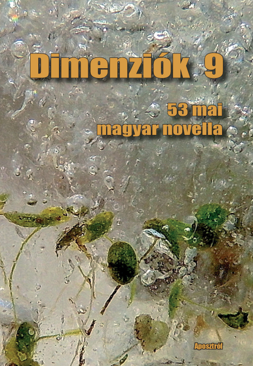 Dimenziók 9 - 53 mai magyar novella