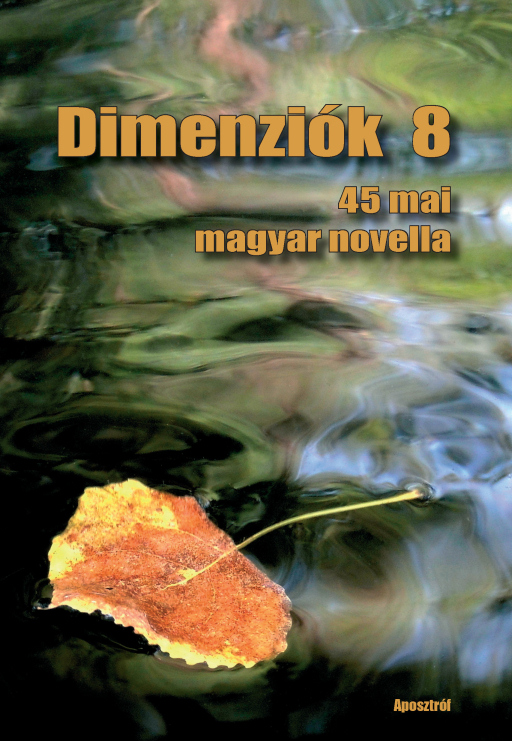 Dimenziók 8 - 45 mai magyar novella